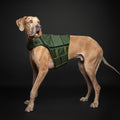 Human Standards Dog Lifejacket Design with 3x Foam for Maximum Buoyancy, Stability & Comfort - Green
