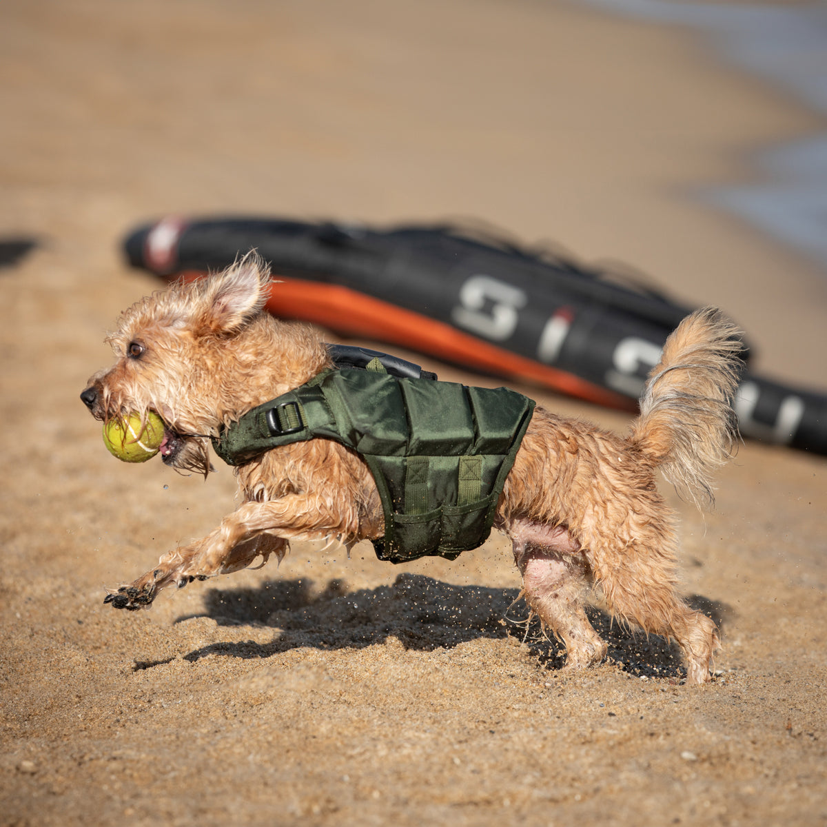 Human Standards Dog Lifejacket Design with 3x Foam for Maxim - LJ3-GR-XS