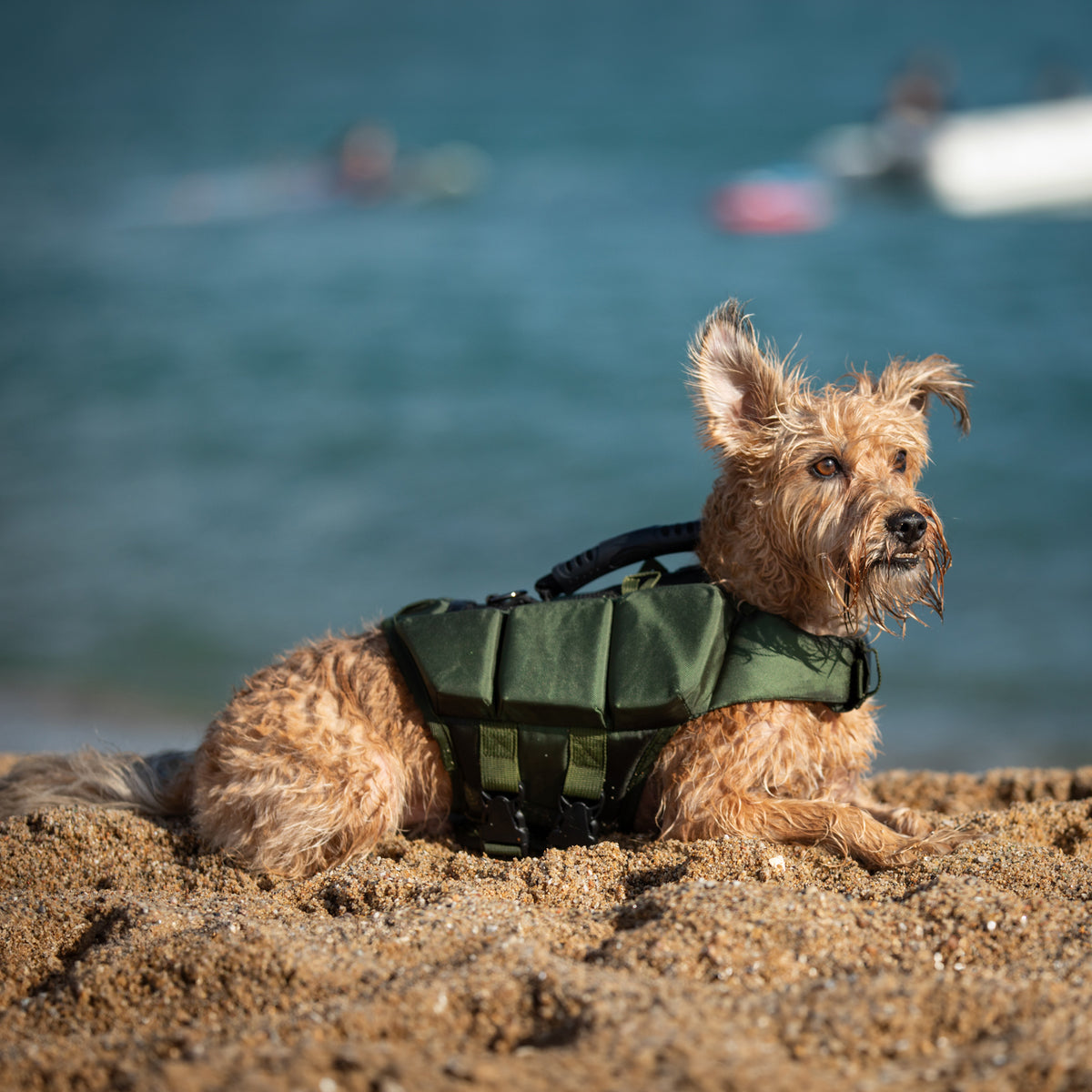 Human Standards Dog Lifejacket Design with 3x Foam for Maxim - LJ3-GR-XS