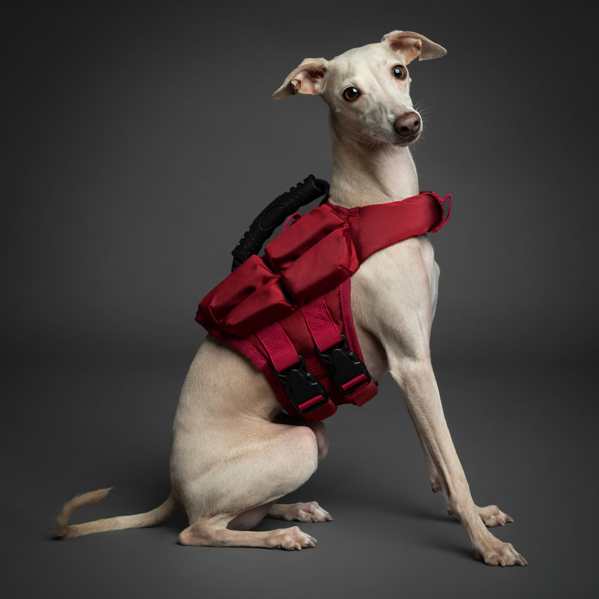 Human Standards Dog Lifejacket Design with 3x Foam for Maxim - LJ3-RE-S
