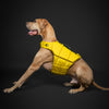 Human Standards Dog Lifejacket Design with 3x Foam for Maximum Buoyancy, Stability & Comfort - Yellow