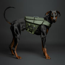 Noah & Paw dog life jacket with 4x foam for buoyancy, green, size L