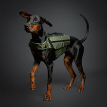 Noah & Paw dog life jacket with 4x foam for buoyancy, green, size L