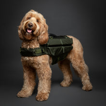 Noah & Paw dog life jacket with 4x foam for buoyancy, green, size M