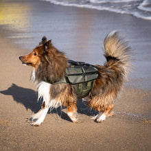 Noah & Paw dog life jacket with 4x foam for buoyancy, green, size M