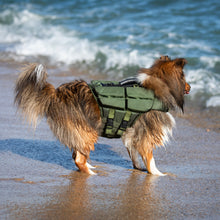 Noah & Paw dog life jacket with 4x foam for buoyancy, green, size M