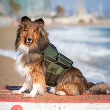 Noah & Paw dog life jacket with 4x foam for buoyancy, green, size M