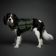 Noah & Paw dog life jacket with 4x foam for buoyancy, green, size M