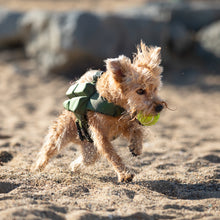 Noah & Paw dog life jacket with 4x foam for buoyancy, green, size S