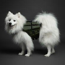 Noah & Paw dog life jacket with 4x foam for buoyancy, green, size S