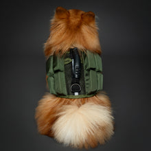 Noah & Paw dog life jacket with 4x foam for buoyancy, green, size S