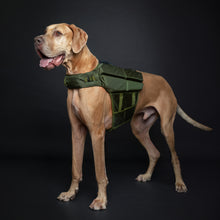 Noah & Paw dog life jacket with 4x foam for buoyancy, green, size XL