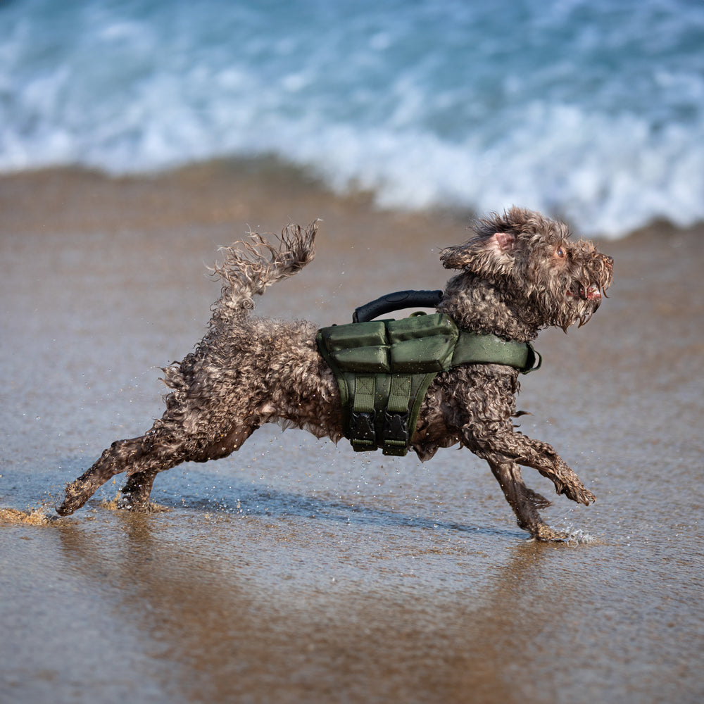 Noah & Paw dog life jacket with 4x foam for buoyancy, green, size XS