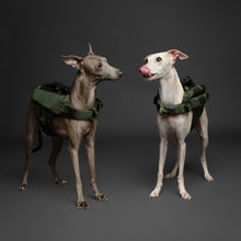 Noah & Paw dog life jacket with 4x foam for buoyancy, green, size XS