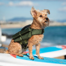 Noah & Paw dog life jacket with 4x foam for buoyancy, green, size XS