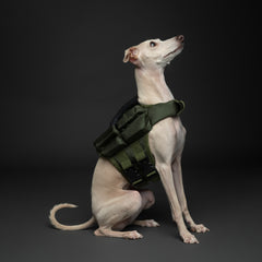 Human Standards Dog Lifejacket Design with 4x Foam for Maximum Buoyancy, Stability & Comfort - Green