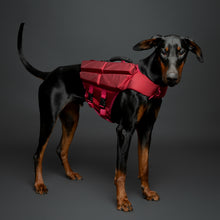 Noah & Paw dog life jacket with 4x foam for buoyancy, red, size L
