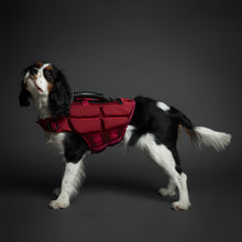 Noah & Paw dog life jacket with 4x foam for buoyancy, red, size M