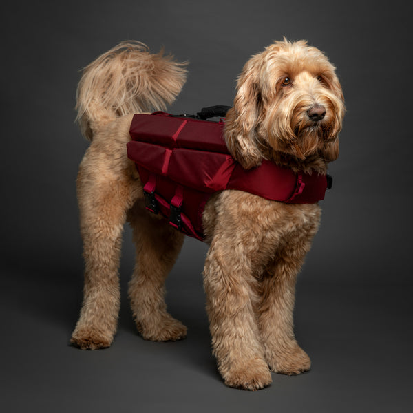 Noah & Paw dog life jacket with 4x foam for buoyancy, red, size M