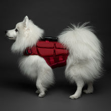 Noah & Paw dog life jacket with 4x foam for buoyancy, red, size S