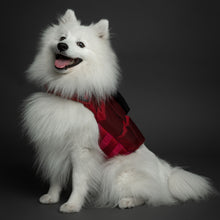 Noah & Paw dog life jacket with 4x foam for buoyancy, red, size S