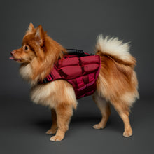 Noah & Paw dog life jacket with 4x foam for buoyancy, red, size S