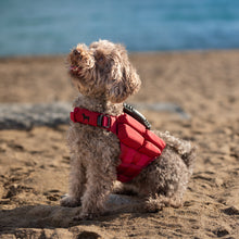 Noah & Paw dog life jacket with 4x foam for buoyancy, red, size XS