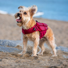 Noah & Paw dog life jacket with 4x foam for buoyancy, red, size XS