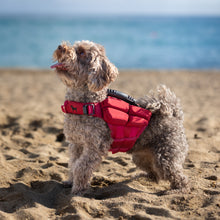 Noah & Paw dog life jacket with 4x foam for buoyancy, red, size XS