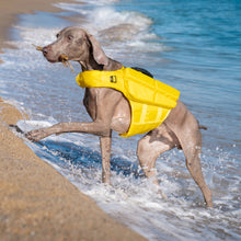 Noah & Paw dog life jacket with 4x foam for buoyancy, yellow, size L