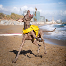 Noah & Paw dog life jacket with 4x foam for buoyancy, yellow, size L