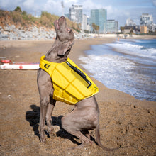 Noah & Paw dog life jacket with 4x foam for buoyancy, yellow, size L