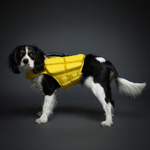Noah & Paw dog life jacket with 4x foam for buoyancy, yellow, size M