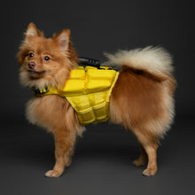 Noah & Paw dog life jacket with 4x foam for buoyancy, yellow, size S