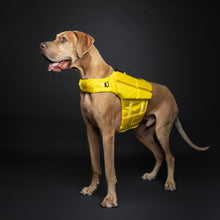 Noah & Paw dog life jacket with 4x foam for buoyancy, yellow, size XL