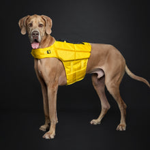 Noah & Paw dog life jacket with 4x foam for buoyancy, yellow, size XL