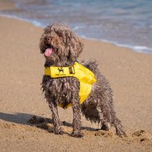 Noah & Paw dog life jacket with 4x foam for buoyancy, yellow, size XS