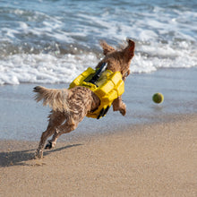 Noah & Paw dog life jacket with 4x foam for buoyancy, yellow, size XS