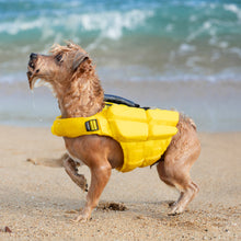 Noah & Paw dog life jacket with 4x foam for buoyancy, yellow, size XS