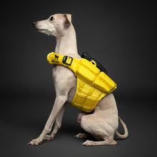 Noah & Paw dog life jacket with 4x foam for buoyancy, yellow, size XS
