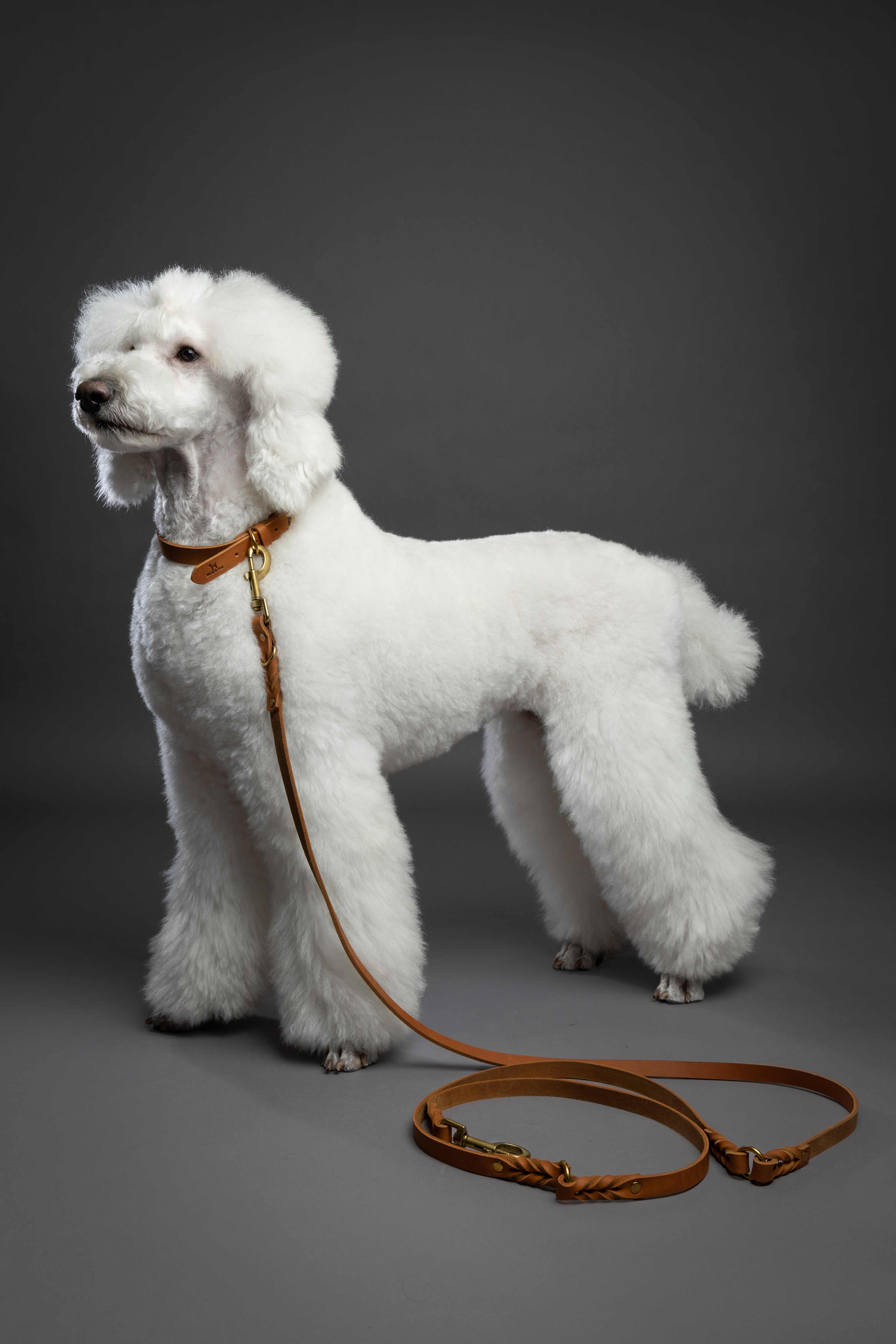 Leather Pet Leash- Camel 8ft