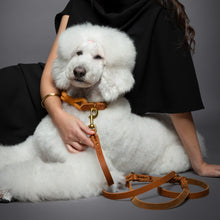 Noah & Paw braided oil-waxed leather dog leash, camel