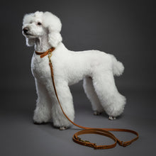 Noah & Paw braided oil-waxed leather dog leash, camel