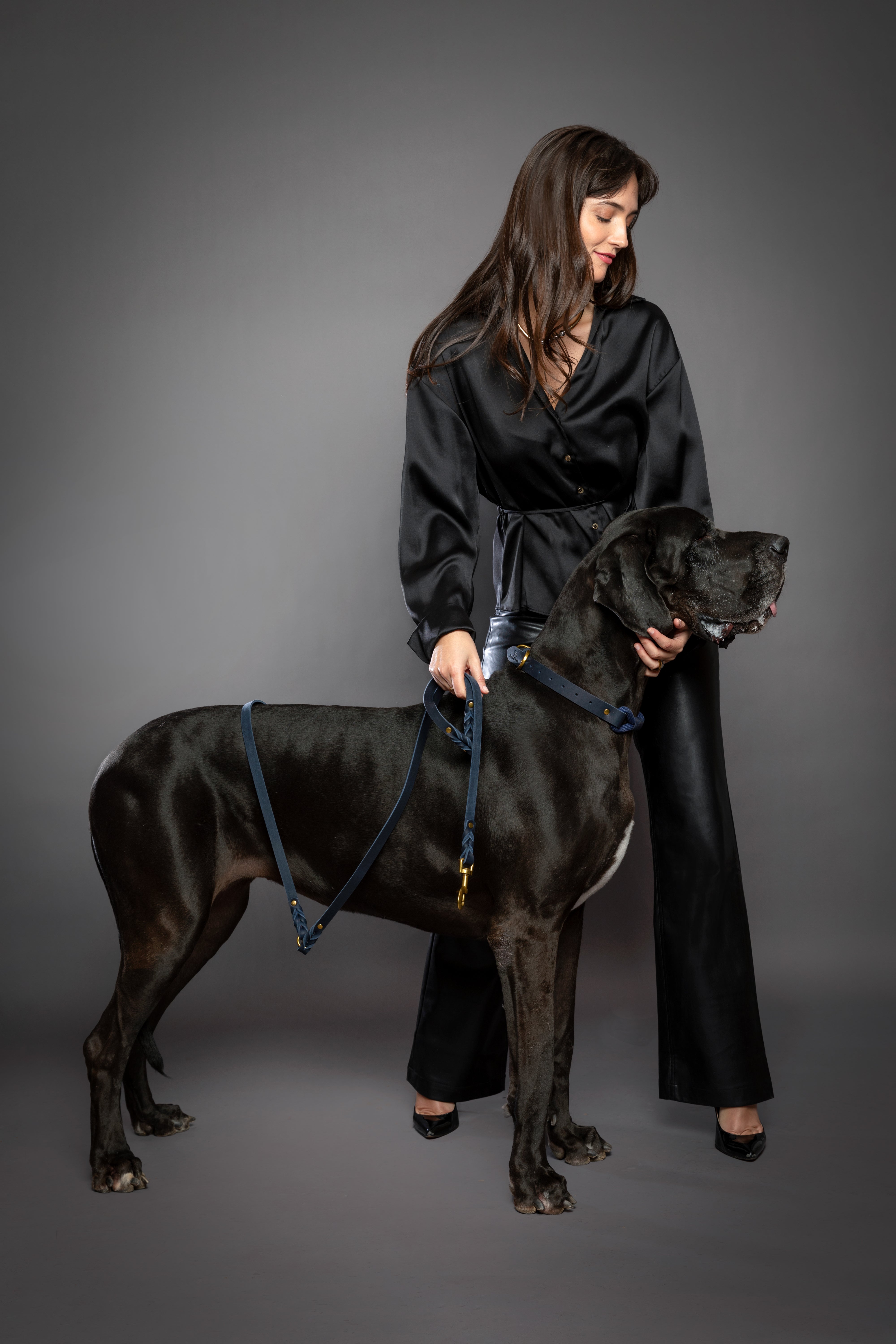 Leather Pet Leash- Dark Blue 8ft