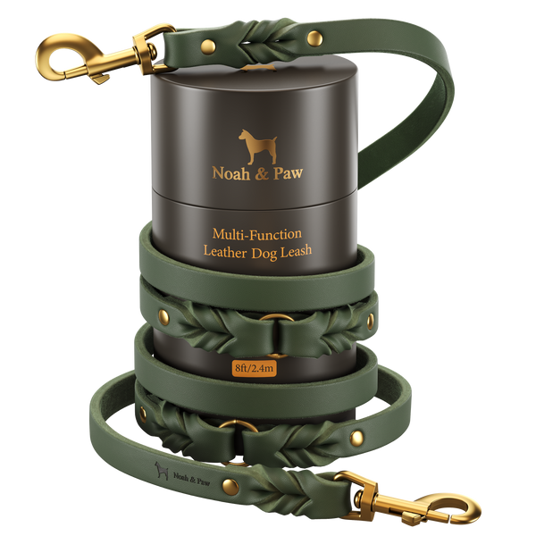Braided Leather Dog Leash, 6 Ways to Walk, Dark Green