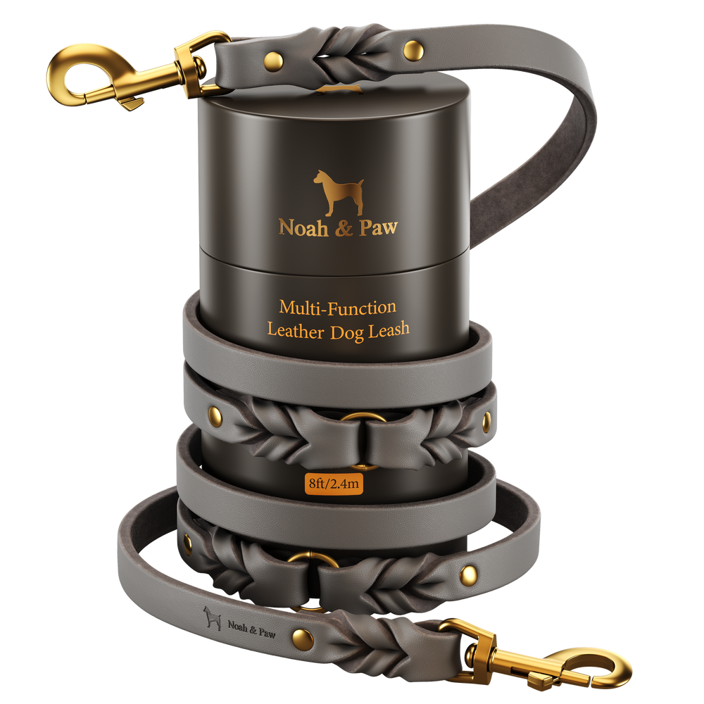 Noah & Paw braided oil-waxed leather dog leash, gray