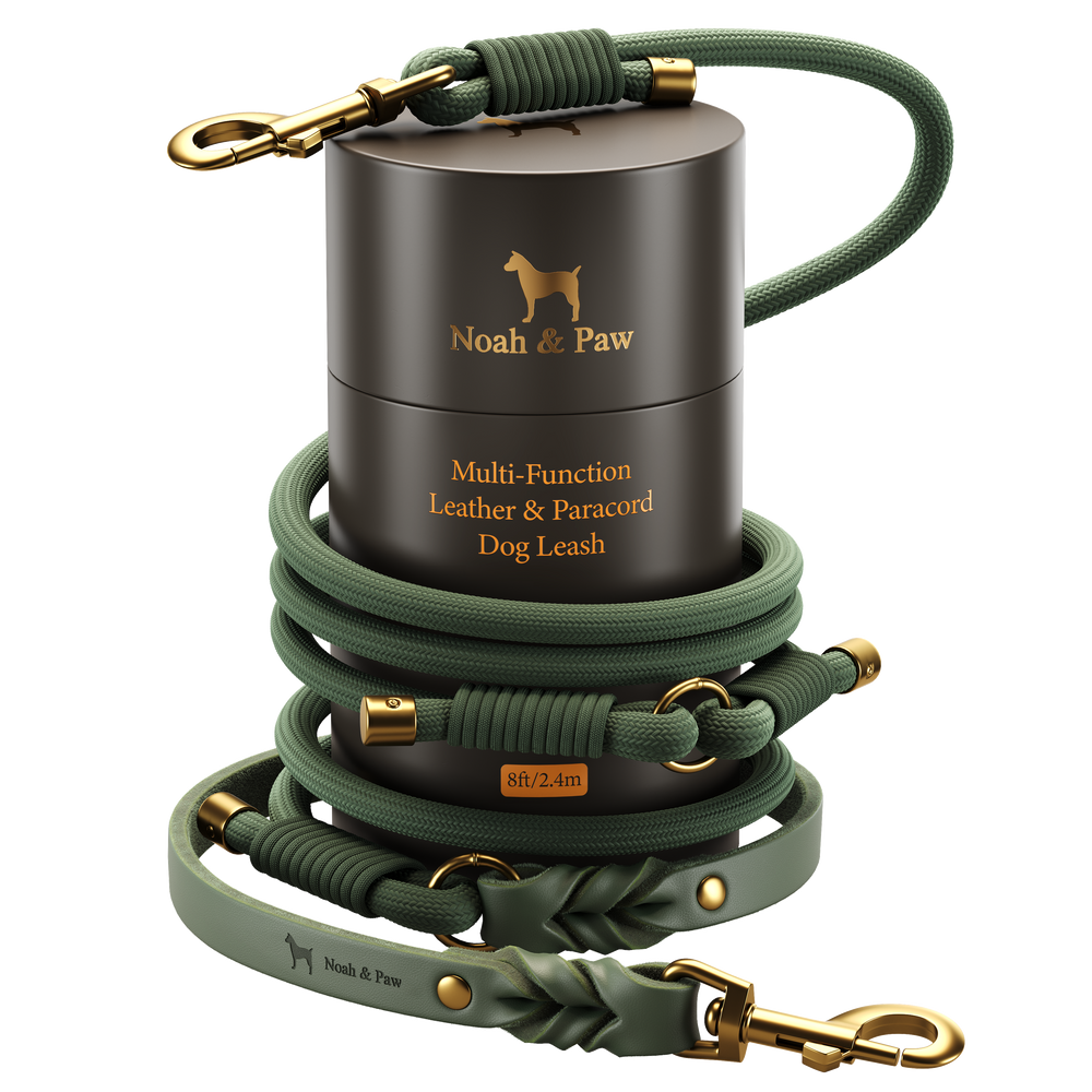 Noah & Paw braided leather and paracord dog leash, dark green