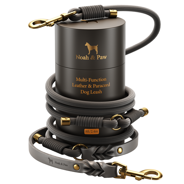 Leather Paracord Dog Leash, 6 Ways to Walk, Gray