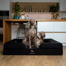 Noah & Paw orthopedic sofa dog bed in denim with memory foam and cooling gel, black, size XL (45 x 35 x 11 in)