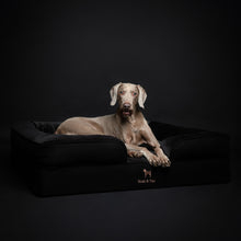 Noah & Paw orthopedic sofa dog bed in denim with memory foam and cooling gel, black, size XL (45 x 35 x 11 in)